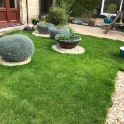 Techniques de taille pour maintenir un jardin esthétique et en bonne santé Joue-les-Tours